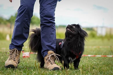 617336740_889644484127505_4979625276574395603_n